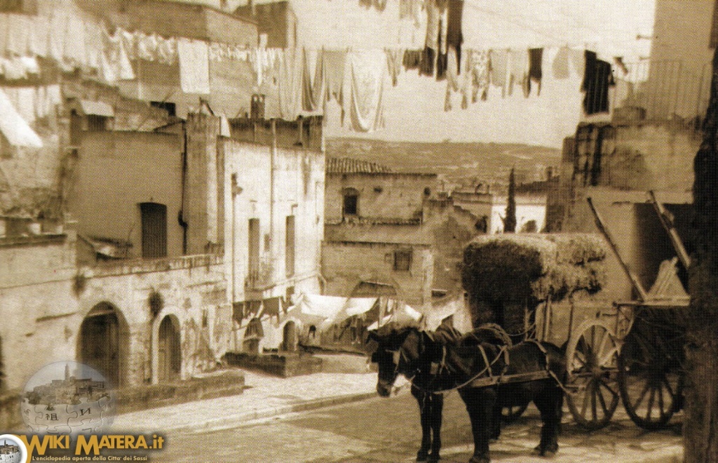 animali_da_lavoro_matera_3