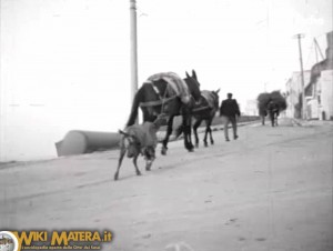 ritratti_di_citta_matera_wikimatera_2