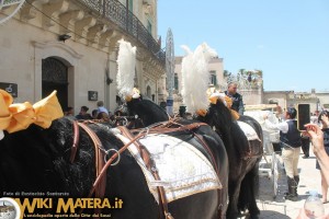 festa della bruna 2016 Eustachio Santarsia 00018