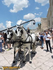 festa della bruna 2016 cavalcata matera 00011