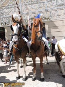 festa della bruna 2016 cavalieri matera 00005 