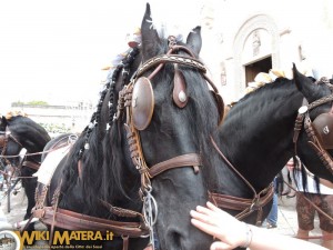 festa della bruna2017 cavalcata matera wikimatera 00007