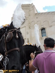 festa della bruna2017 cavalcata matera wikimatera 00008