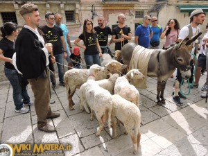 festa della bruna2017 processione dei pastori matera wikimatera 00051