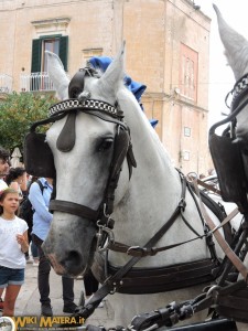 festa della bruna2017 vestizione del generale matera wikimatera 00006