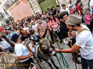 20180702 Festa Della Bruna Processione Pastori WikiMatera Matera 00025