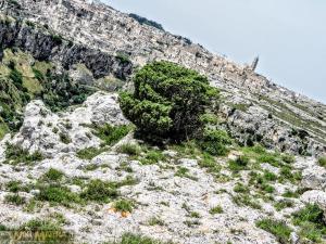 20180529 Murgia Madonna Tre Porte Croci Megaliti WikiMatera Matera 00020