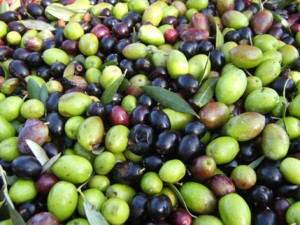 Olive
