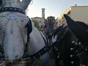 20190702_strazzo_eustachio_santarsia_wikimatera_matera_00003